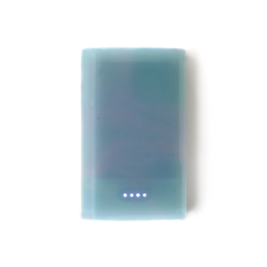 Power Bank #010